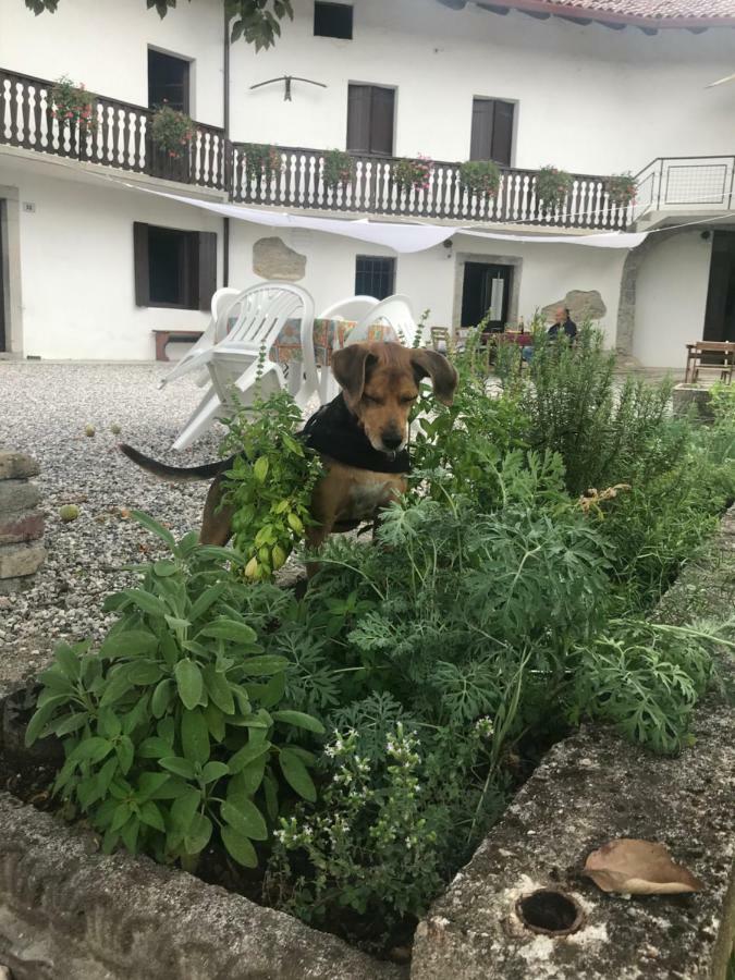Fragole E Menta Hotell Attimis Exteriör bild